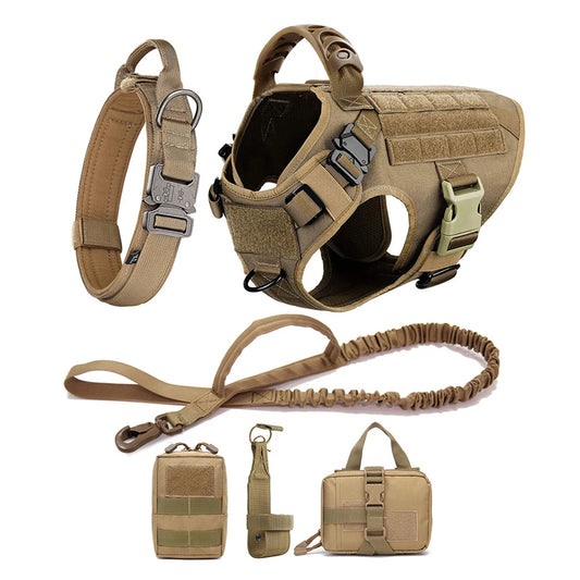 Large and Medium Size Dog Harness And Leash Set